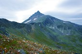 Царица.